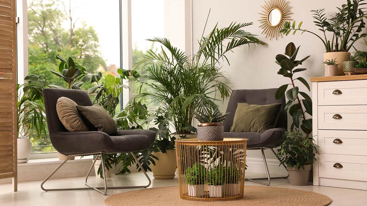 Photo of a lounge area interior with comfortable armchairs and houseplants