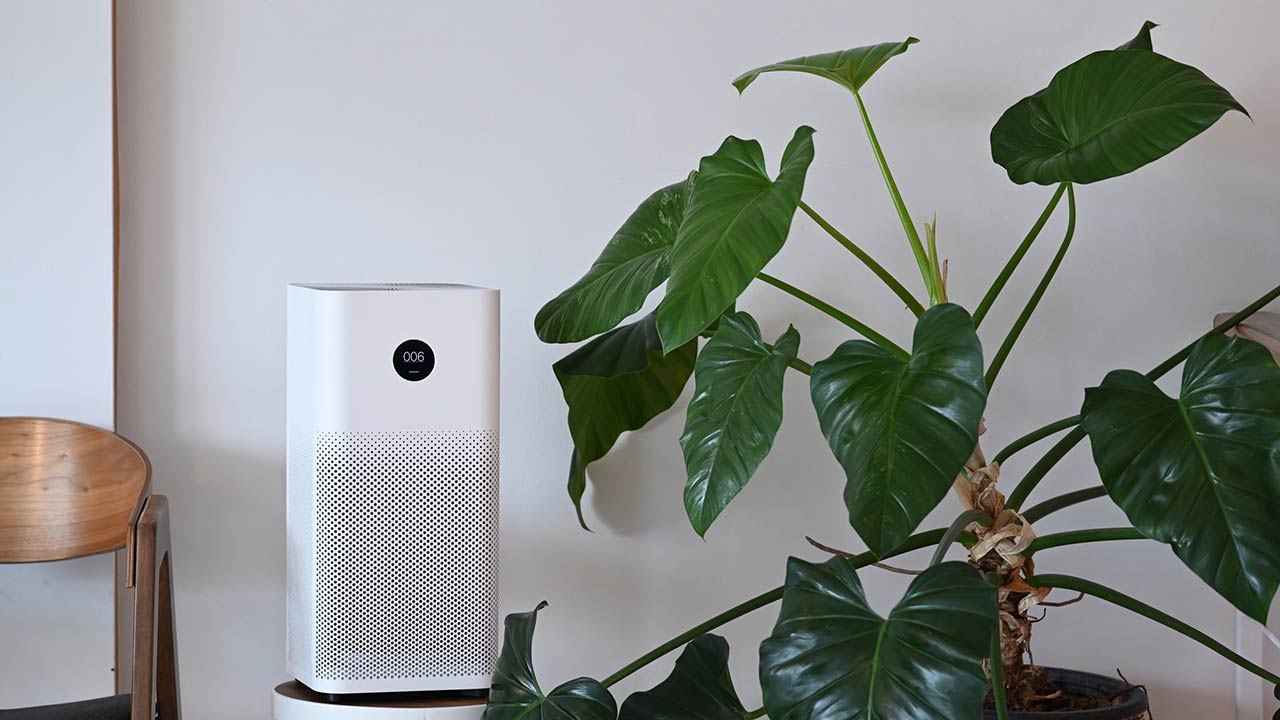 Air purifier and houseplant in living room. For fresh air and healthy life concept.