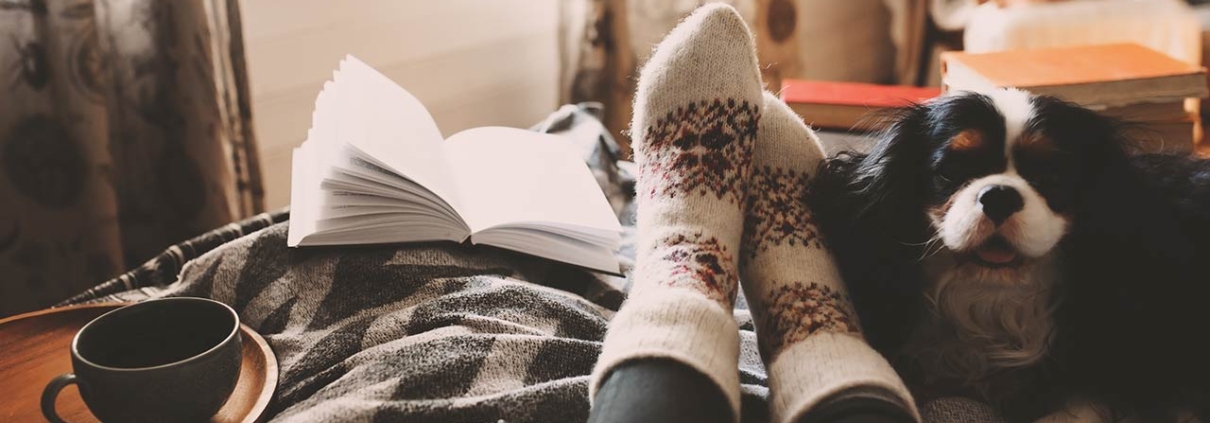 cozy fall day at home with cup of hot tea, book and sleeping dog