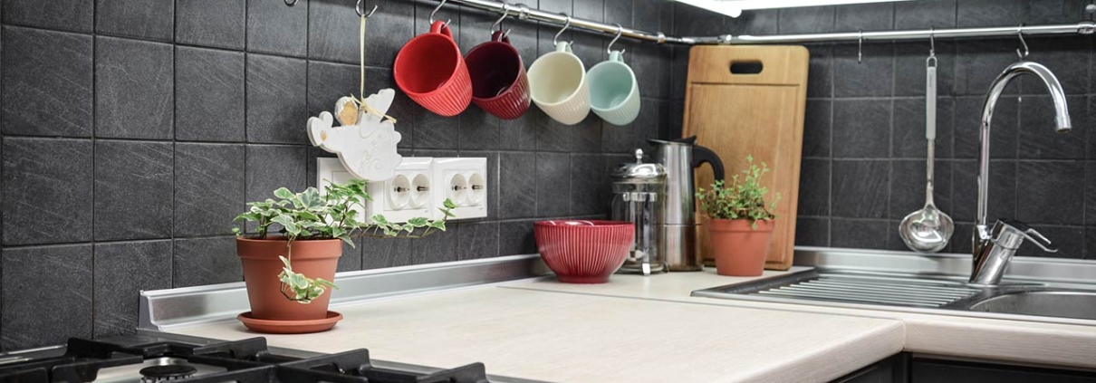 Small modern kitchen with rail system and kitchen utensils and houseplant