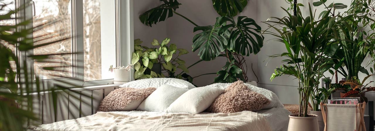 Cozy bright bedroom with indoor plants