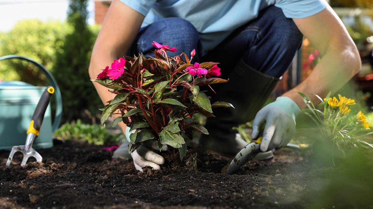 Landscaping Tips & Tricks for a Beautiful and Functional Outdoor Space