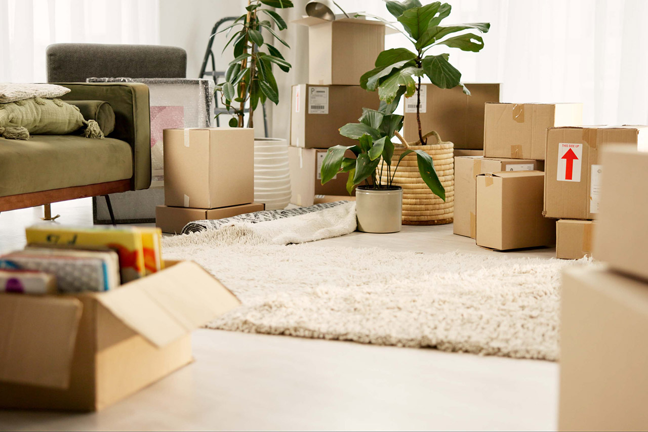 Moving boxes in a living room stock photo