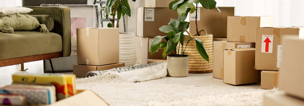 Moving boxes in a living room stock photo